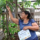 UG. El proyecto de vinculación incluye talleres para el desarrollo de huertos urbanos en el Golfo de Guayaquil por los propios habitantes.