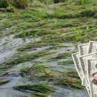 Los agricultores son algunos de los más perjudicados por el invierno en Ecuador.