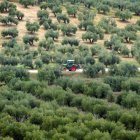 Campos de olivos en Lopera, cerca de Jaén, durante un proyecto de instalación de plantas fotovoltaicas, el 24 de marzo de 2025.