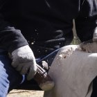 El LAEX está compuesto por varias salas y un patio donde se "fabrica" el pasado.