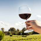 Todos los 17 de abril se celebra el Día del Malbec.