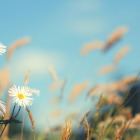 ¿Cuándo llega el verano a Guayaquil?