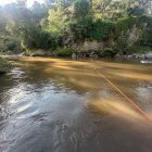 Equipos especializados recorrieron el trayecto del río San Pedro y sus afluentes.