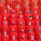 Cardenales durante la ceremonia fúnebre por el Papa emérito Benedicto XVI