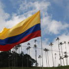 Autoridades colombianas exigen carné de vacunación contra la fiebre amarilla a viajeros por riesgo de contagio.