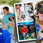 Hasta el próximo 27 de abril, en Guayaquil habrá jornadas de atención veterinaria gratuita para perros y gatos en distintos sectores de la ciudad. La adopción de mascotas se hará presente.