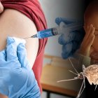 El Ministerio de Salud informó que un paciente de 26 años en Zamora Chinchipe es el primer caso de fiebre amarilla registrado este año en el país.