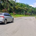 Huecos. Conductores lamentan la presencia de baches en la avenida Revolución Ciudadana. La vía está abandonada desde hace meses.