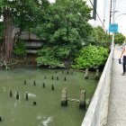 La actividad humana es el principal contaminante.