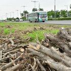 TALA DE ARBOLES EN LA PUNTILLA SAMBORONDON FOTOGRAFO: FRANCISCO FLORES PERIODISTA: JOSUE ANDRADE FECHA: 28-04-2025 AG-EXTERNOS