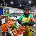 Personas trabajan seleccionando flores en el cultivo Esmeralda Farms, el 29 de abril de 2025 en el sector del Quinche (Ecuador).
