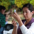 El Ministerio de Salud anunció que habrá brigadas para vacunar contra la tosferina y la fiebre amarilla en los planteles de cuatro provincias.