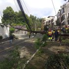 Árboles y postes colapsaron sobre vehículos estacionados en el sector de El Condado.