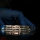 Personal técnico trabaja en una imagen de archivo en un laboratorio.