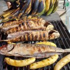 la lisa asada al carbón, marinada con un aliño molido a mano como en los tiempos de las abuelas, una delicia.-