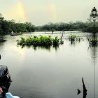 Naturaleza. Yasuní es una de las reservas ecológicas más biodiversas que tiene el país. Está en la Amazonía.