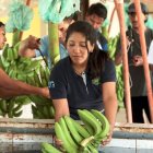 Universidad. Los estudiantes de Agronomía ya hacen prácticas en la nueva sede de Vinces de la UG.