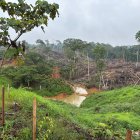 Efectos de minería ilegal en Orellana. Imagen referencial de una zona afectada por esa problemática.
