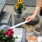 Día de las Madres: se puede recordar a mamá con actos sencillos y tenerla presente desde la memoria.