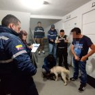 Tras la denuncia de un caso de maltrato animal en Calderón, Quito, personal de la Unidad de Bienestar Animal, AMC y Policía Nacional rescataron a Ninja, un perrito que presentaba graves signos de maltrato.