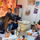 La veterinaria tenía en stock fármacos vencidos desde 2024, incluyendo medicamentos de uso humano.