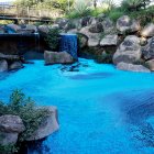 Lago de las Tulipas del Jardín Botánico este miércoles, en el Lago de las Tulipas del Jardín Botánico en Jundiaí (Brasil).