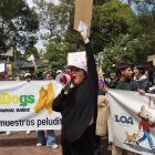 Rechazo. Animalistas y ciudadanía realizaron una marcha para exigir que se archive el proyecto del ley LODA.
