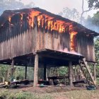 Campamento ilegal en Alto Punino es destruido por el Ejército tras asesinato de 11 militares en operación contra grupos armados