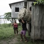 Un agricultor carga fardos de fibra de malva este domingo, en la comunidad de Boca do Supiá, en la ciudad de Manacapuru (Brasil).