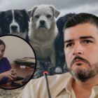 El alcalde respondió a las denuncias de Rescate Animal y señaló a su exdirectora.