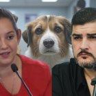 La exdirectora municipal y activista de los derechos de los animales rechazó los señalamientos del alcalde de Guayaquil.
