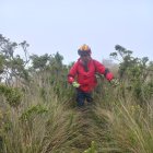 Personal del Cuerpo de Bomberos participan en las labores de búsqueda.