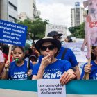 En Guayaquil, la Fundación Rescate Animal denuncia que las cifras de eutanasia han aumentado en un 250% en los primeros meses del año