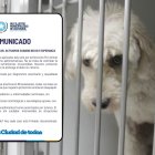 El Municipio respondió a los señalamientos de Rescate Animal.