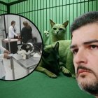 La gestión de Aquiles Álvarez en asuntos de bienestar animal ha sido "atareada"