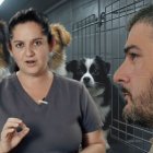 Esta vez, Molineros le desea éxitos a Álvarez.