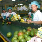 El mango está entre los principales productos no tradicionales que se venden a ese mercado.