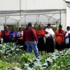 Llaktapura impulsa el empoderamiento de mujeres indígenas en Ambato con formación agroecológica y derechos.