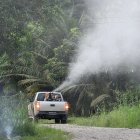 Imagen referencial sobre la fumigación para controlar los vectores de enfermedades.