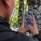 Ecuador inicia identificación de especies mediante fotos.