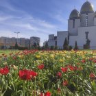 Ciudad. En Leópolis la presencia de la guerra sigue siendo palpable.
