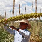 Cumplimiento. Las grandes empresas deben cumplir con la trazabilidad de productos a partir de diciembre.