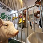 Congreso. Una treintena de empresas dan a conocer al público la innovación de servicios en esta industria.