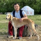 Kazajistán está tratando de recuperar la población de la raza de perro nacional, los tazis