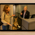 El video del canguro viajero es adorable, viral y 100% generado por IA (como esta imagen).