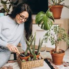 Cuidar las plantas y pasar tiempo al aire libre ayuda a reducir nuestros niveles de estrés, ansiedad y fatiga mental.
