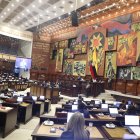 El Pleno de la Asamblea conoció en primer debate la ley urgente para desarticular las economías criminales.