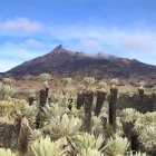 El Teatro Sucre acoge muestra de biodiversidad.