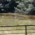 La marea desplazó la sustancia hacia Urdesa y Kennedy, según confirmaron las autoridades.