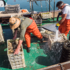 Pescadores industriales advierten que el alza en costos por el diésel afectará su actividad.